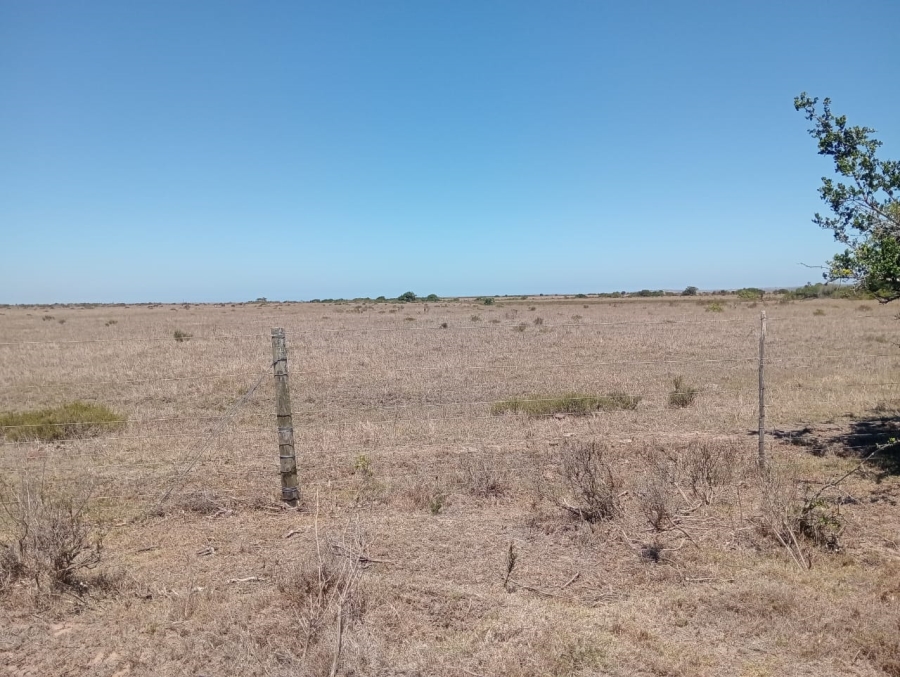 Commercial Property for Sale in Humansdorp Rural Eastern Cape